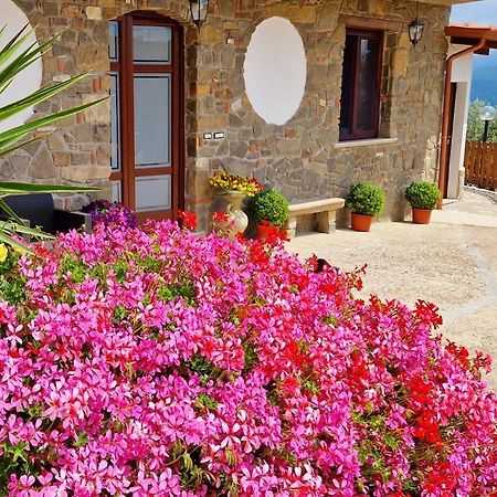 Pietra Del Colle Agriturismo 알타빌라사일렌티나 외부 사진