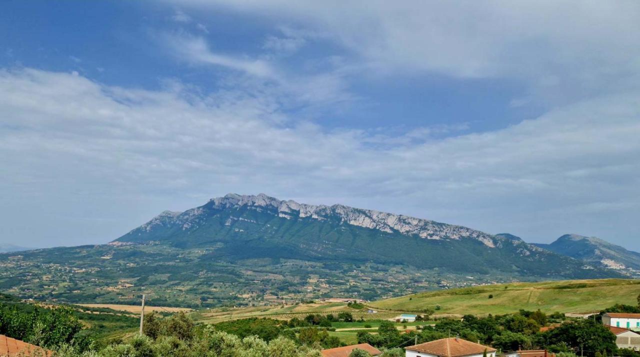 Pietra Del Colle Agriturismo 알타빌라사일렌티나 외부 사진