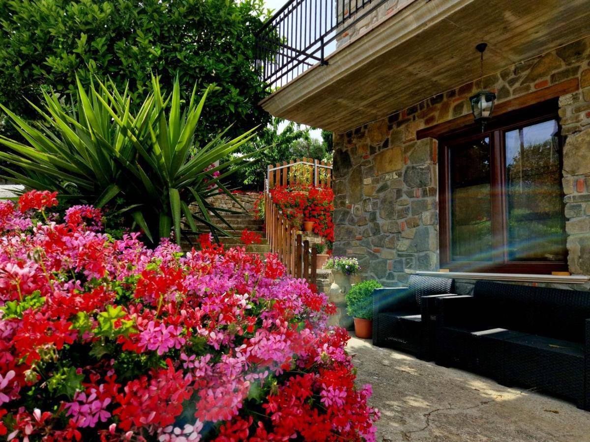 Pietra Del Colle Agriturismo 알타빌라사일렌티나 외부 사진